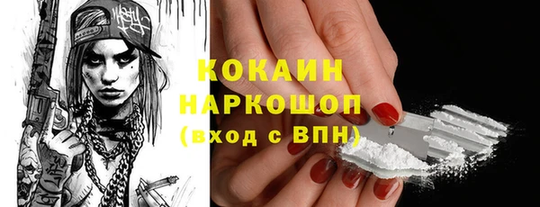 стафф Бородино