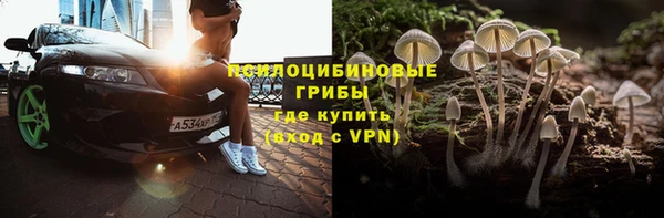 стафф Бородино