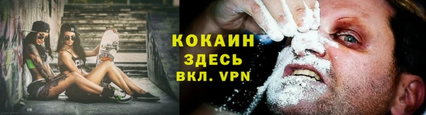 стафф Бородино