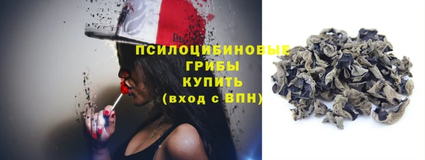 стафф Бородино