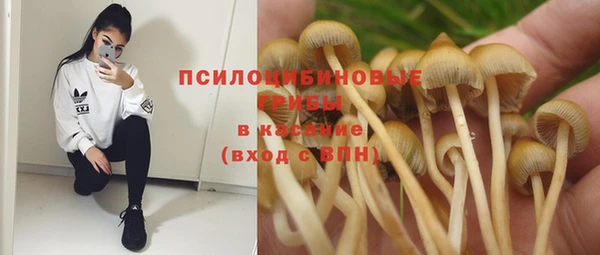 стафф Бородино