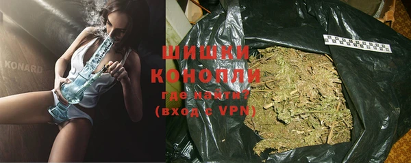 стафф Бородино