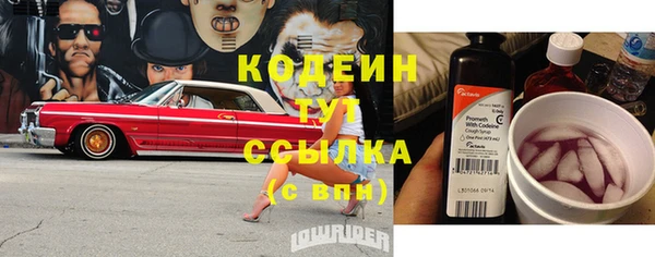 стафф Бородино
