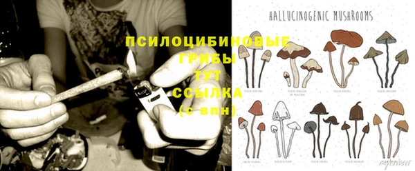 альфа пвп Бугульма